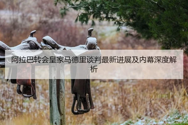 阿拉巴转会皇家马德里谈判最新进展及内幕深度解析